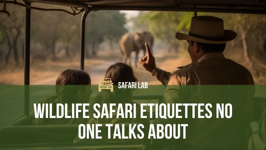 Wildlife Safari Etiquettes that No One Speaks About