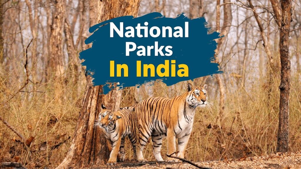 Complete List of Indian National Parks