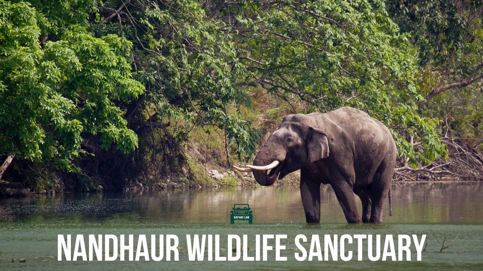 Nandhaur Wildlife Sanctuary: An Untamed Paradise of Solitude