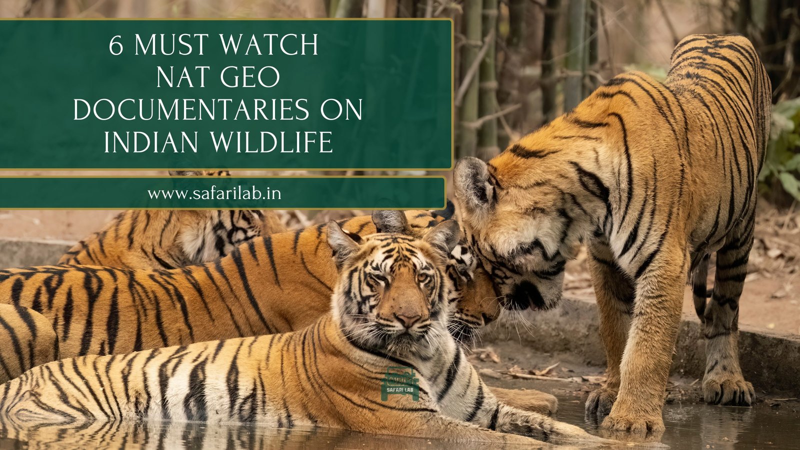 Six Must Watch National Geographic Documentaries on India's Wildlife