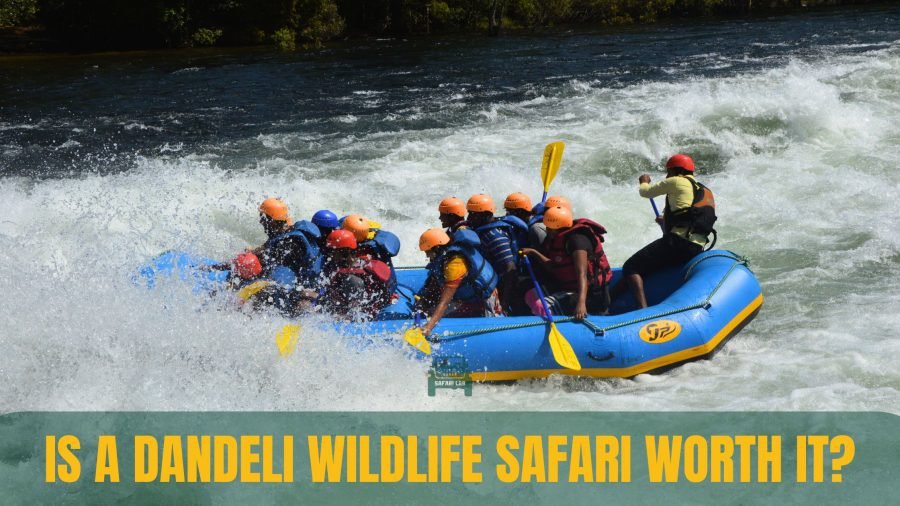 White water rafting dandeli