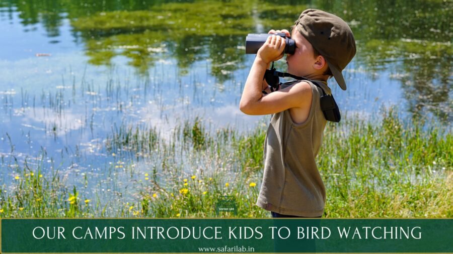 Jungle summer camps for kids - bird watching