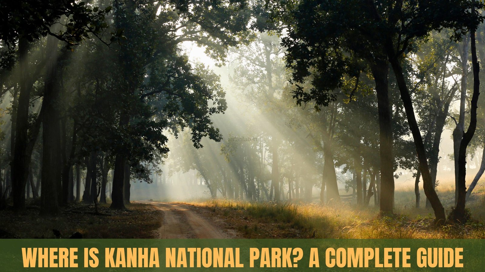 Kanha National Park landscape