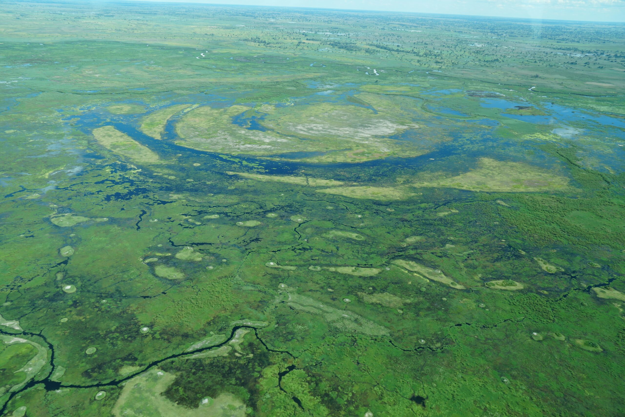 Aerial view of the Okavango Delta channels in Botswana