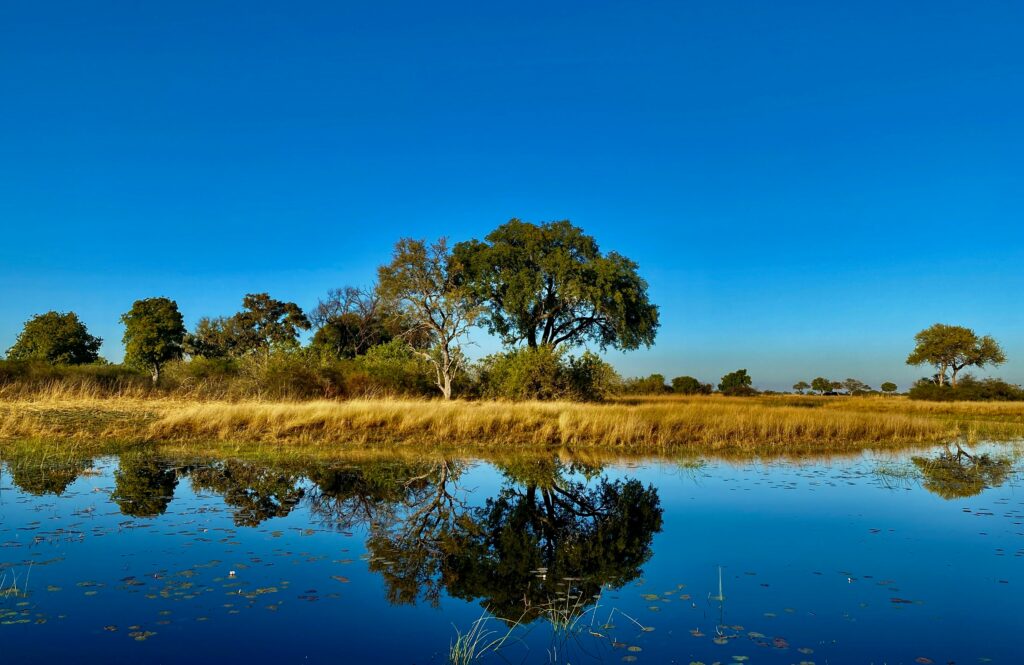 Water safari through the Okavango Delta in Botswana