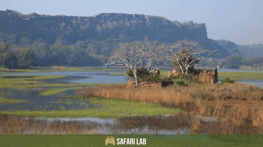 Ranthambore National Park Safari