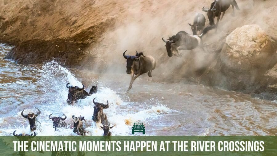Great Migration River crossings